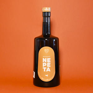 Nepeta Amaro